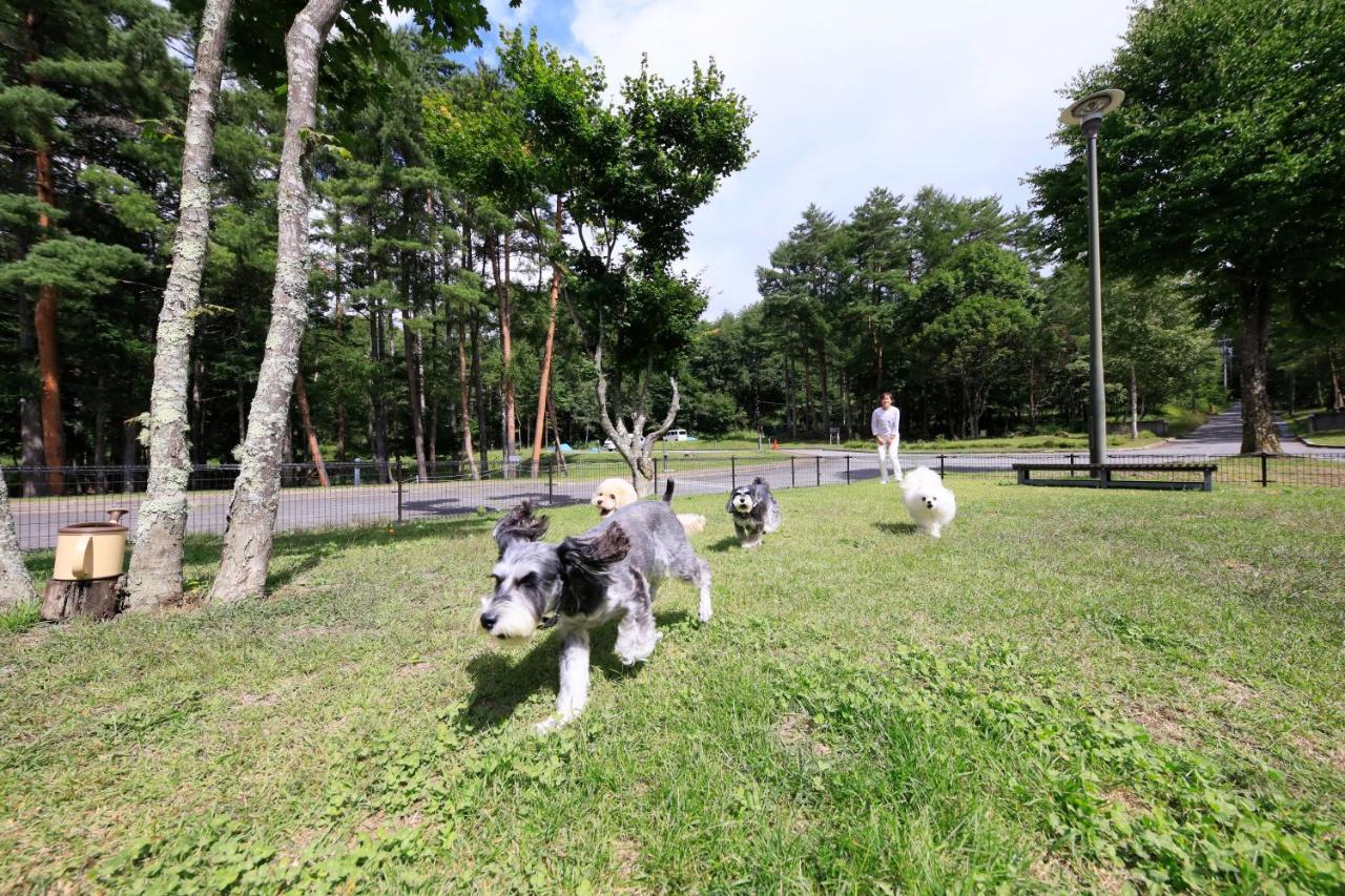 Yutorelo Tateshina Hotel With Dogs Csino Kültér fotó
