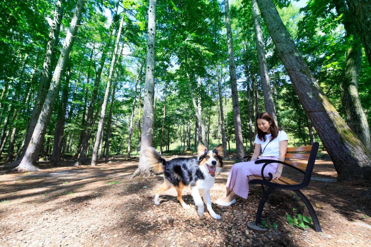 Yutorelo Tateshina Hotel With Dogs Csino Kültér fotó